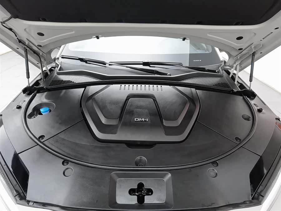 BYD Song Plus New Energy 2023 car image #7