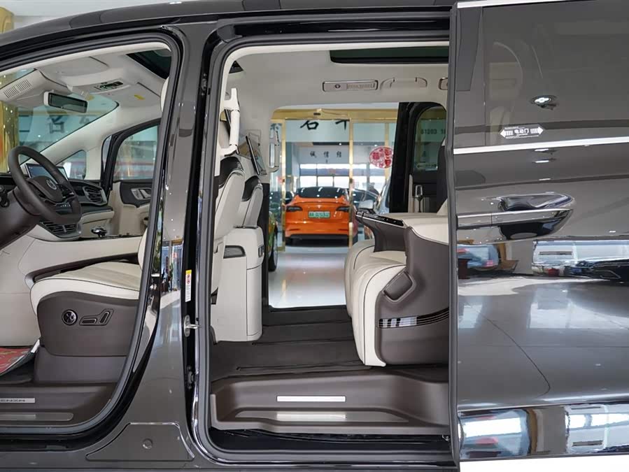 Denza D9 2024 imagem de carro #7