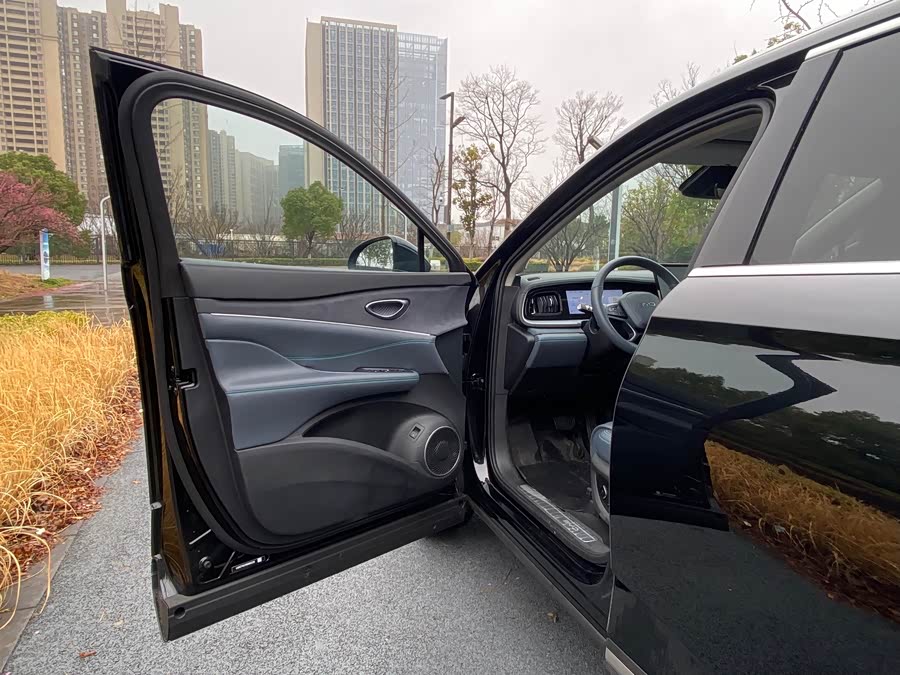 BYD Sea Lion 07 DM-i 2025 car image #7