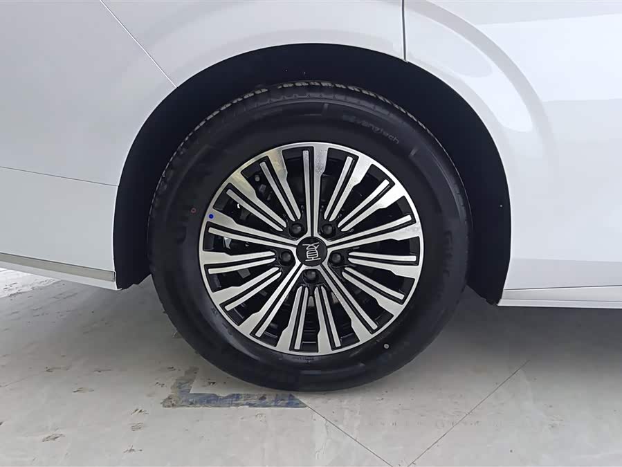 BYD Xia 2025 imagen de coche #7