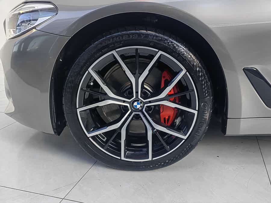 BMW 5 Series 2019 car image #7