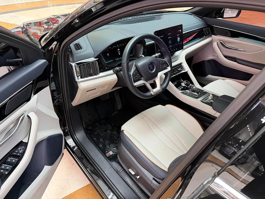 BYD Song Plus New Energy 2023 car image #7