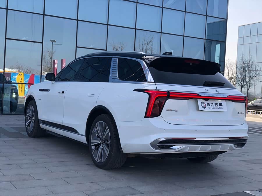 HongQi E-HS9 2021 car image #7
