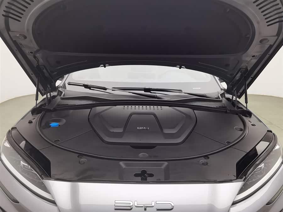 BYD Song Plus New Energy 2024 car image #7