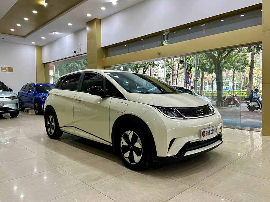 BYD Dolphin 2024 imagem de carro #7