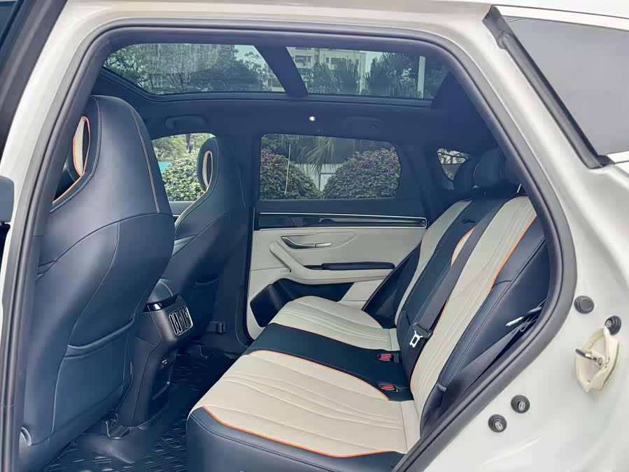 BYD Song Plus New Energy 2023 car image #7