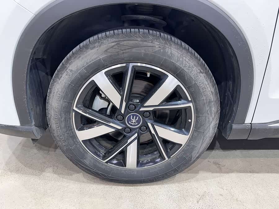 BYD Song Pro New Energy 2024 car image #7