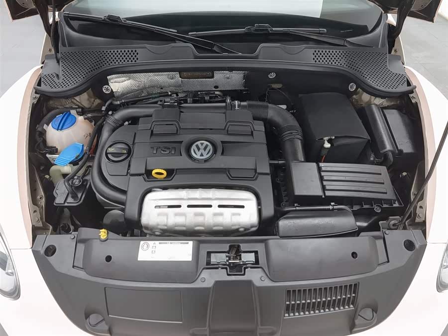 Volkswagen Beetle 2014 immagine di auto #7