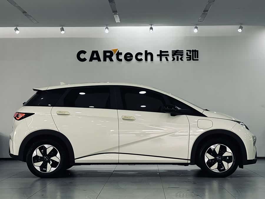 BYD Dolphin 2024 imagem de carro #7