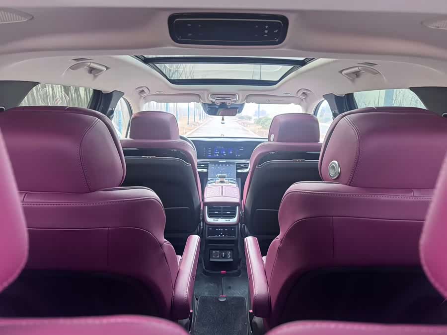 HongQi E-HS9 2021 immagine di auto #7