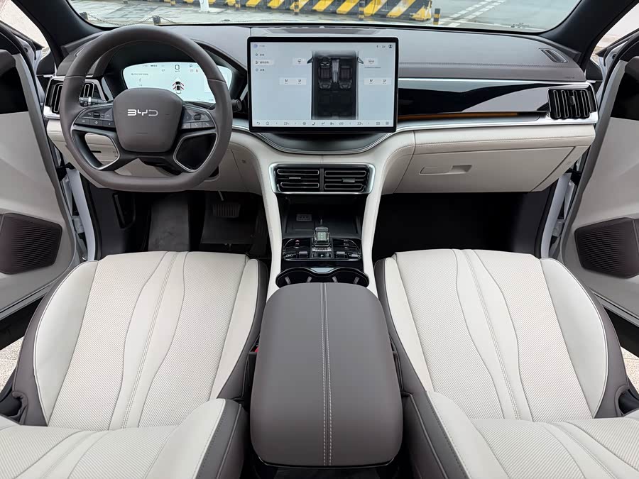 BYD Song Plus New Energy 2025 car image #7