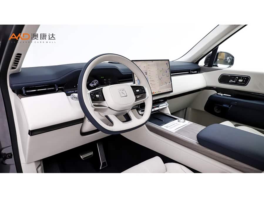 极氪 极氪9X 2025 汽车图片 #7