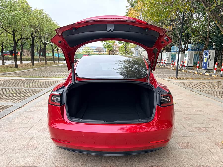 Tesla Model 3 2023 immagine di auto #7