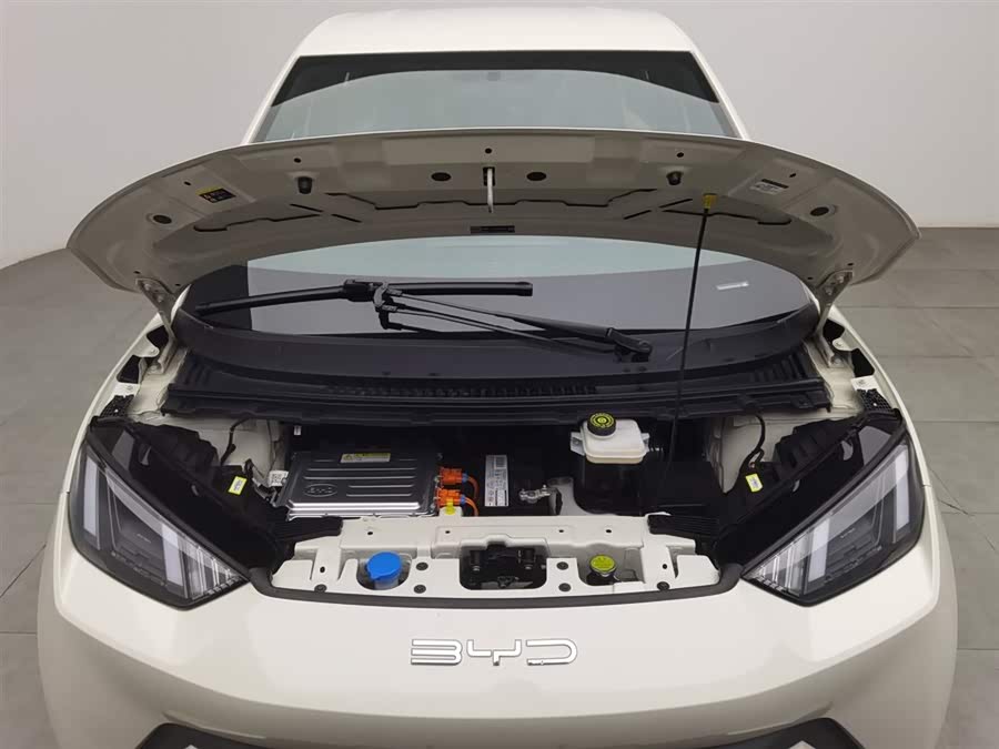 BYD Seagull 2024 immagine di auto #7