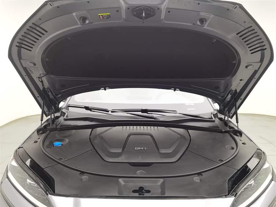 BYD Song Plus New Energy 2024 car image #7