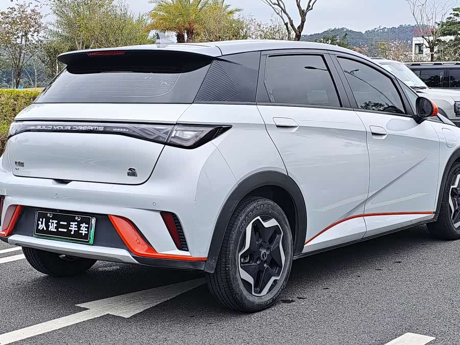 BYD Dolphin 2021 imagen de coche #7