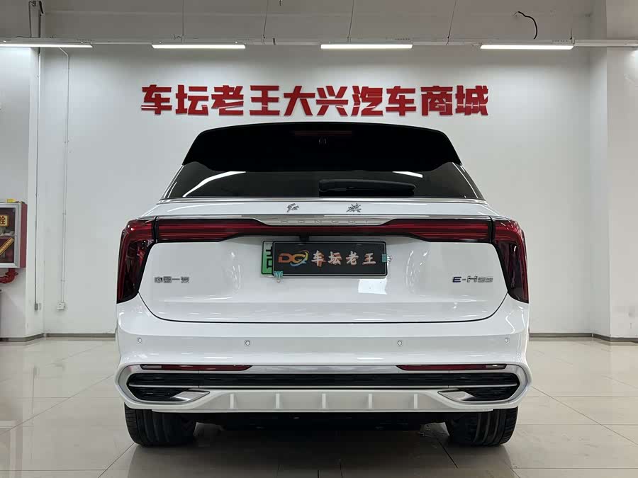 HongQi E-HS9 2023 immagine di auto #7