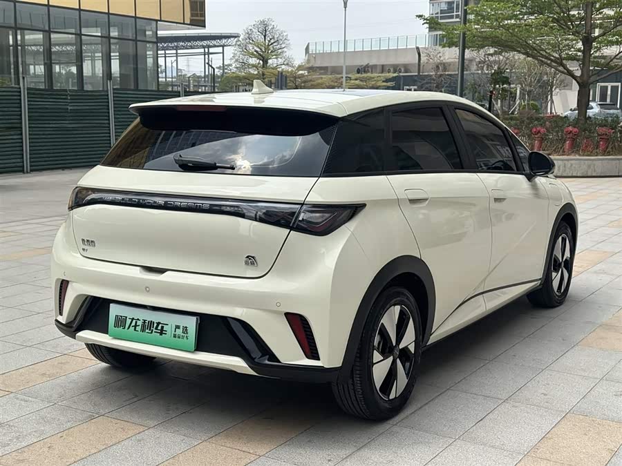 BYD Dolphin 2023 imagem de carro #7