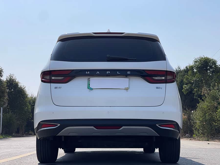 睿蓝汽车 枫叶80v 2020 汽车图片 #7