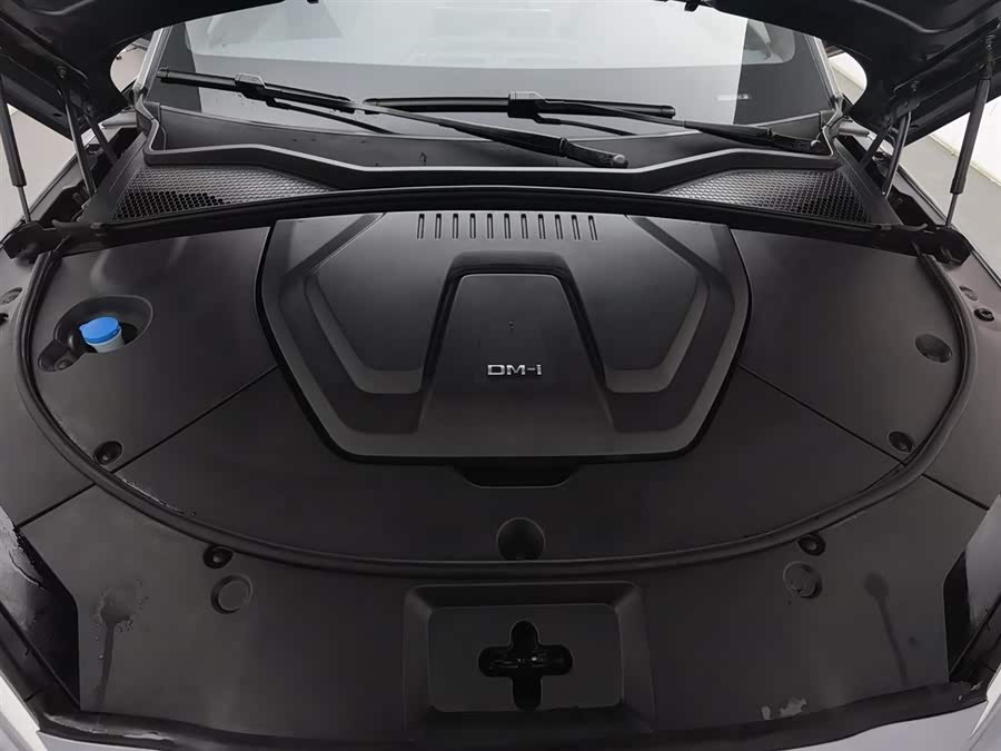 BYD Song Plus New Energy 2023 car image #7