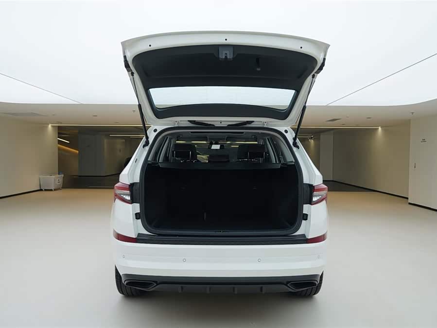 Skoda Kodiaq 2024 car image #7