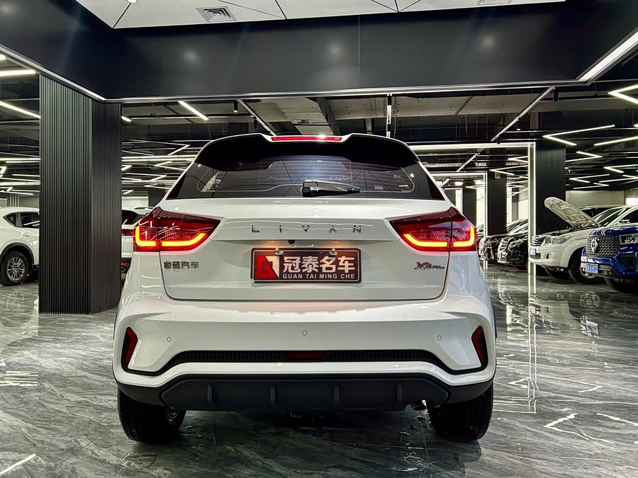 睿蓝汽车 睿蓝汽车X3 PRO 2025 汽车图片 #7