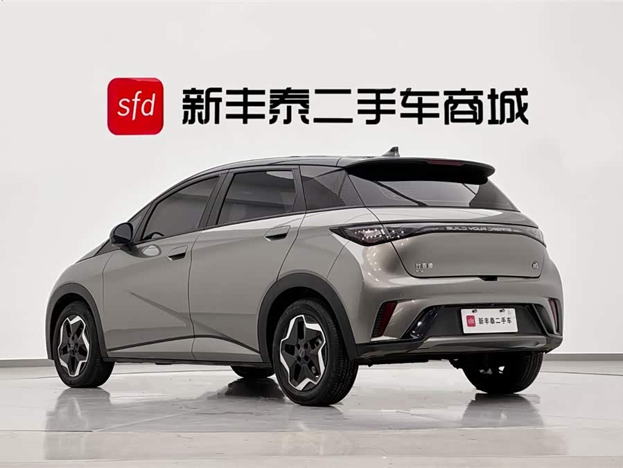 BYD Dolphin 2022 صورة سيارة #7
