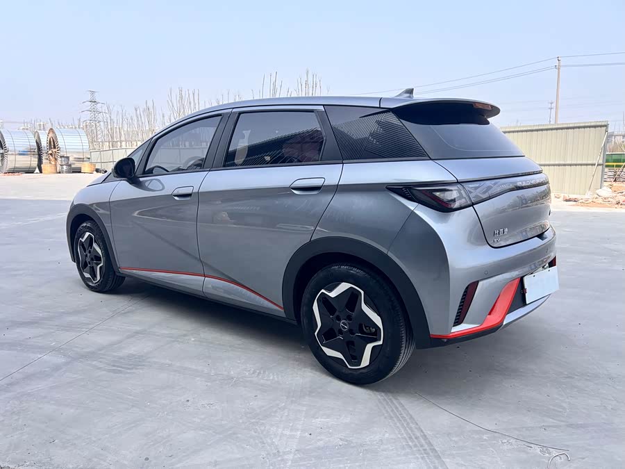 BYD Dolphin 2023 imagem de carro #7