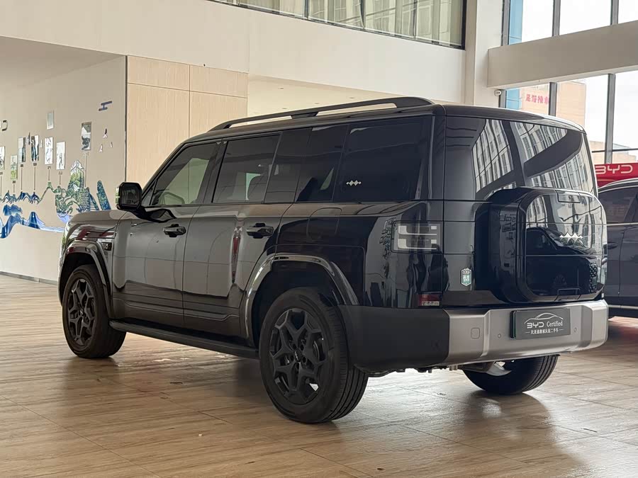 FangChengBao Tiger 7 2025 immagine di auto #7