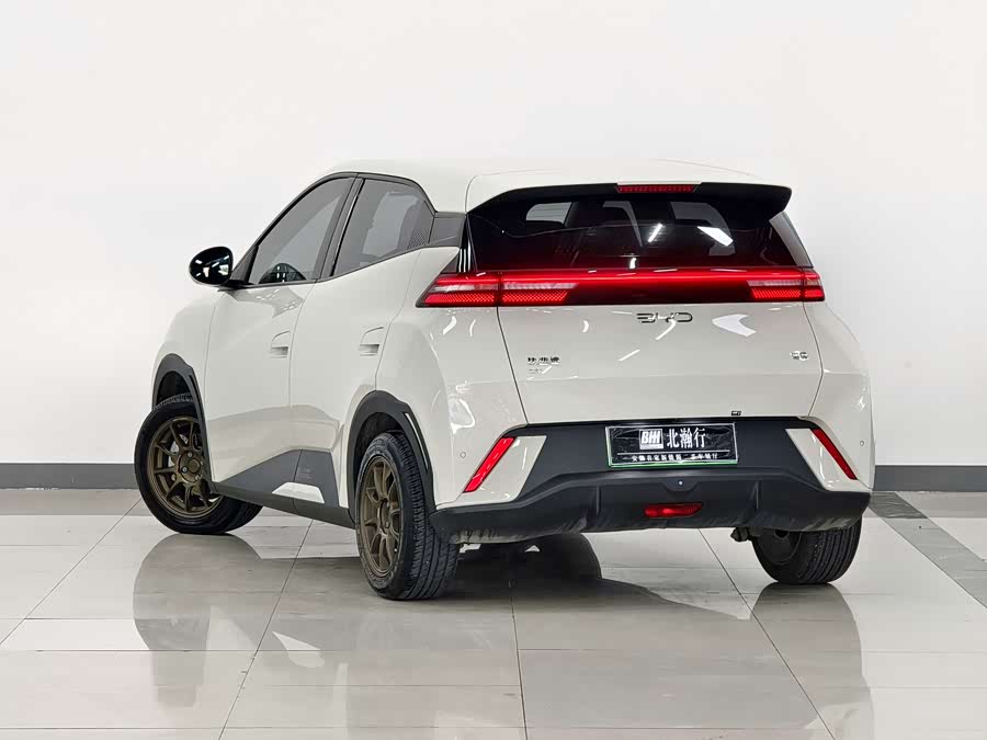 BYD Seagull 2025 immagine di auto #7