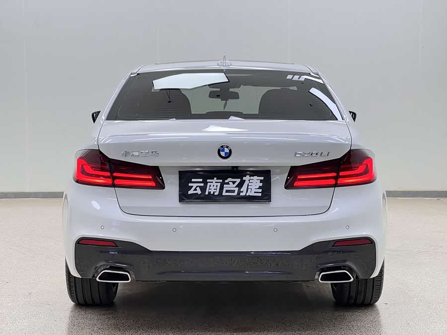 BMW 5 Series 2019 car image #7