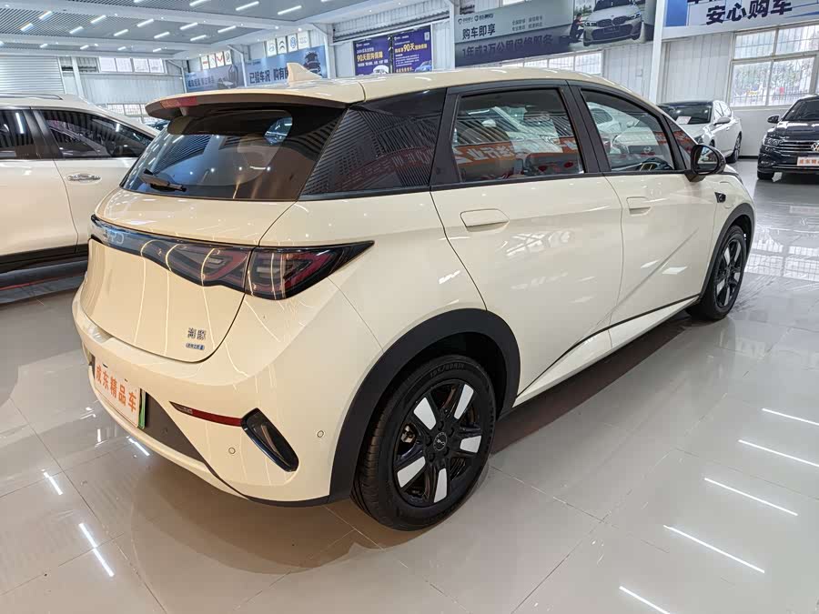BYD Dolphin 2025 imagen de coche #7