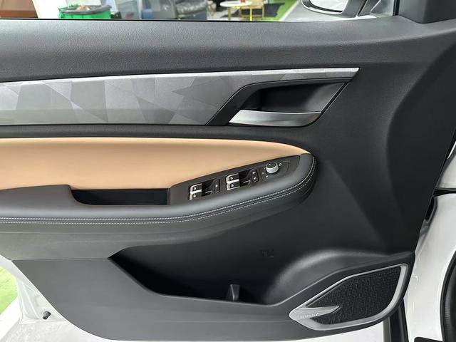 GEELY OkavangoPRO 2024 car image #7