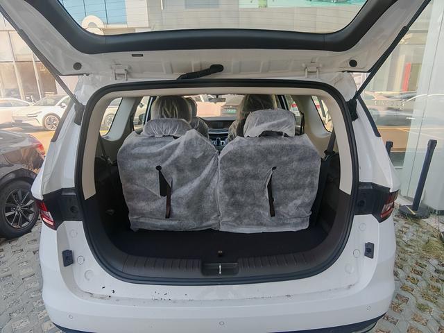 睿蓝汽车 枫叶80v PRO 2023 汽车图片 #7