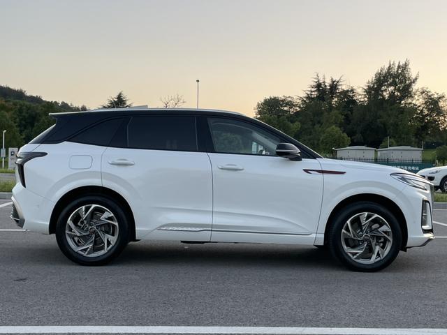 HongQi HS3 2023 car image #7