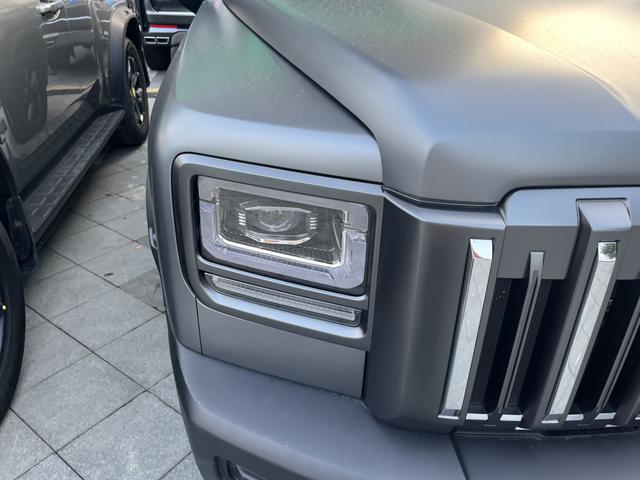 Haval Raptor 2025 immagine di auto #7