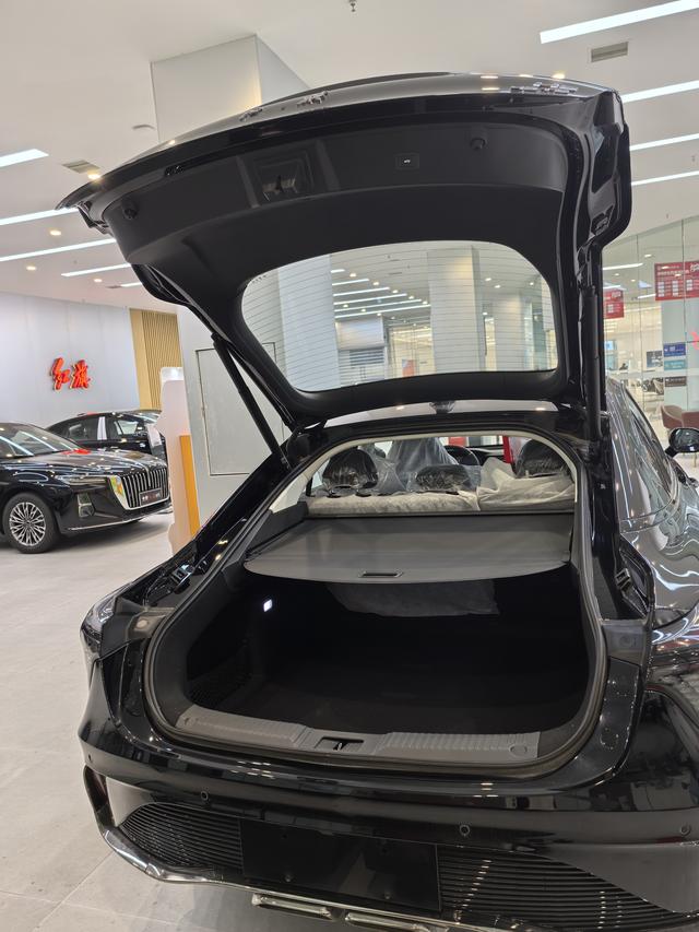 HongQi H6 car image #7