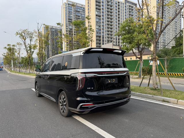 HongQi HQ9 2023 car image #7