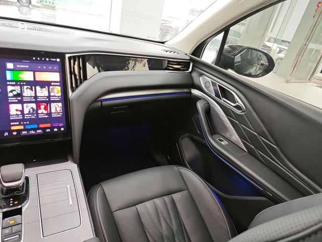 HongQi HS7 PHEV 2024 car image #7