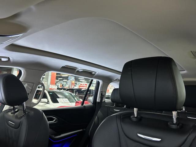 HongQi HS7 PHEV 2024 car image #7