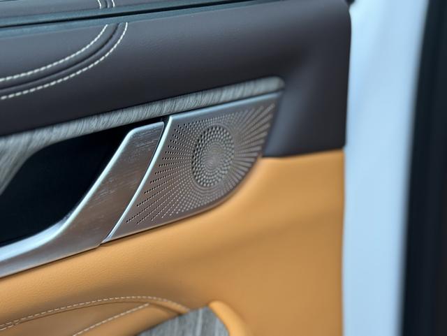 Tank 500 2024 car image #7