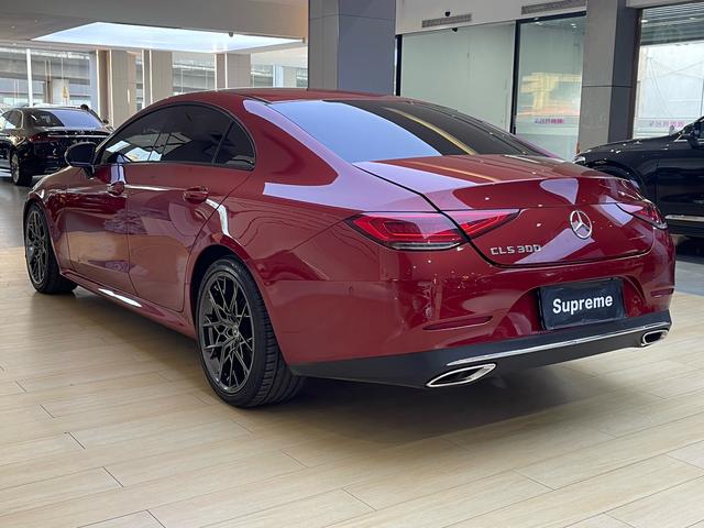 Mercedes-Benz CLS Class 2019 car image #7