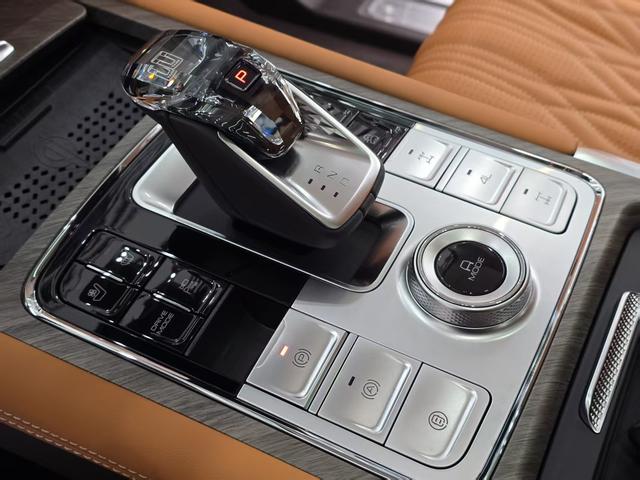 Tank 500 2024 car image #7