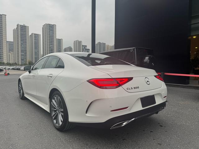 Mercedes-Benz CLS Class 2020 car image #7