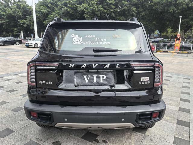 Haval X Dog / Dargo 2021 car image #7