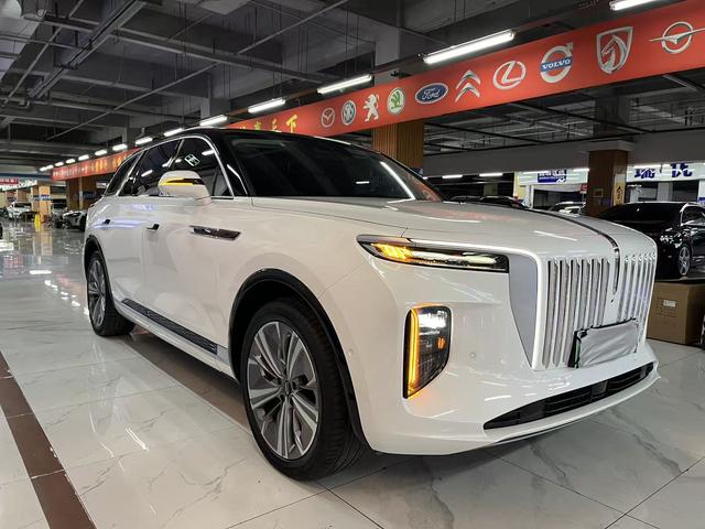 HongQi E-HS9 2022 #7 HongQi E-HS9 2022 car image #7