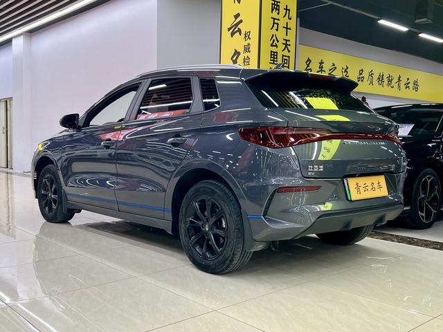 BYD Qin New Energy 2021 immagine di auto #7