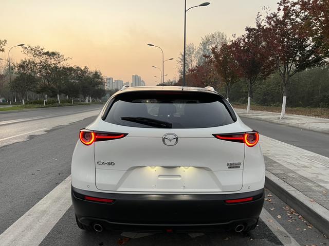 Mazda CX-30 EV 2021 image de voiture #7