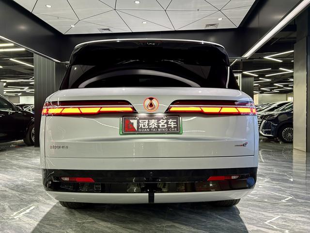 Denza N9 2025 car image #7