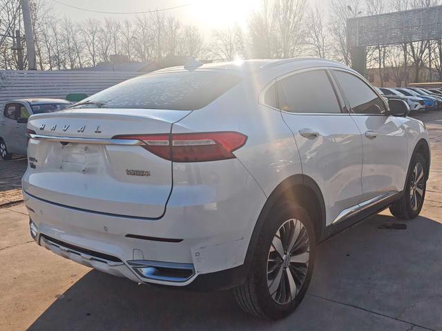 Haval F7x 2020 #7 Haval F7x 2020 car image #7
